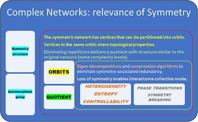 Inference From Complex Networks: Role of Symmetry and Applicability to Images